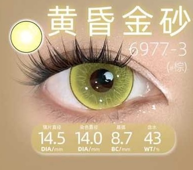 CosyCon Daily Contact Lens image 27